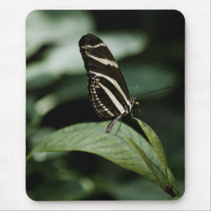 Eine ausgewogene Mehlspeise Mousepad