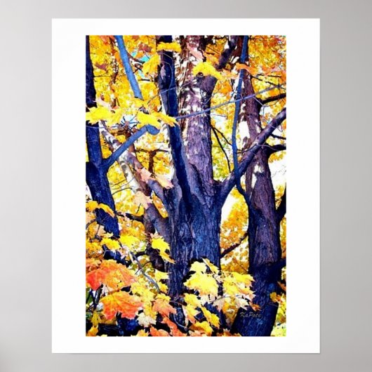 Eine Aussicht auf die Trunker im Herbst Poster (Vorne)