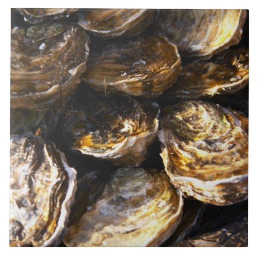 Eine Austernplatte. Fliese (Vorderseite)