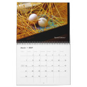 Eine Baby-Bird-Geschichte Kalender (Mär 2027)