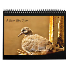 Eine Baby-Bird-Geschichte Kalender