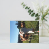 Eine Baby Swiss Cow Postkarte (Stehend Vorderseite)