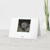 Eine Bankvole in einem Loch. Karte (Rückseite)