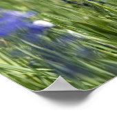 Eine Berglandschaft mit Wildblumen Poster (Ecke)