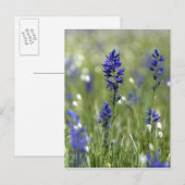 Eine Berglandschaft mit Wildblumen Postkarte (Vorne/Hinten)