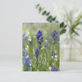 Eine Berglandschaft mit Wildblumen Postkarte (Stehend Vorderseite)