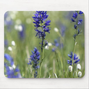 Eine Bergwiese mit Wildblumen, darunter Mousepad