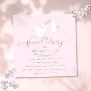 Eine besondere Lieferung für das Baby-Shower-Sprin Einladung