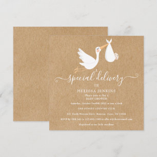 Eine besondere Lieferung Storch Baby Shower / Spri Einladung