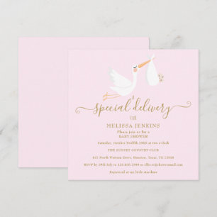 Eine besondere Lieferung Storch Baby Shower / Spri Einladung