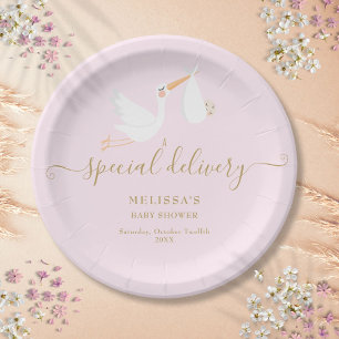 Eine besondere Lieferung Storch Baby Shower Sprink Pappteller