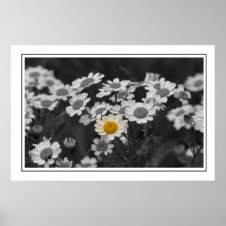 Eine besondere Zeitspanne Poster