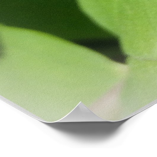 Eine Biene auf einer Seite Poster (Ecke)