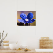 Eine blaue Blume Poster (Küche)