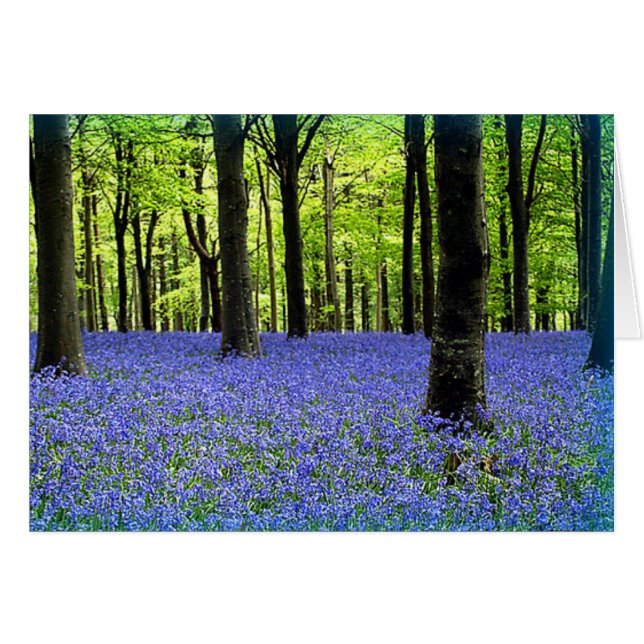 Eine blaue Haze (Vorderseite (Horizontal))