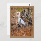 Eine blaue Heldenkunst Postkarte (Vorne/Hinten)