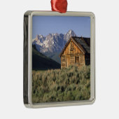 Eine Blockhütte und das Sawzahngebirge in Silbernes Ornament (Rechts)