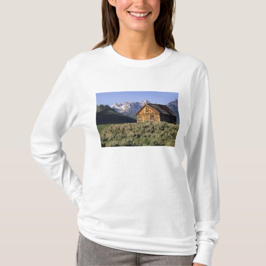 Eine Blockhütte und das Sawzahngebirge in T-Shirt (Vorderseite)