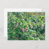 EINE BLOOMIERTE VALENTINE POSTCARD POSTKARTE (Vorne/Hinten)