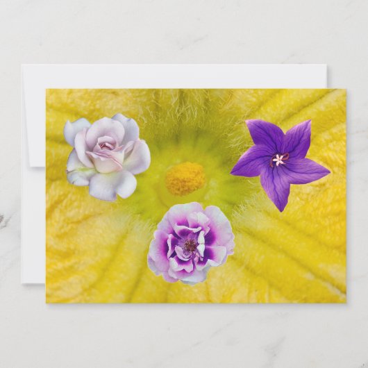 Eine Blume (Vorderseite)