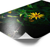 Eine Blume entsteht Fotodruck (Ecke)