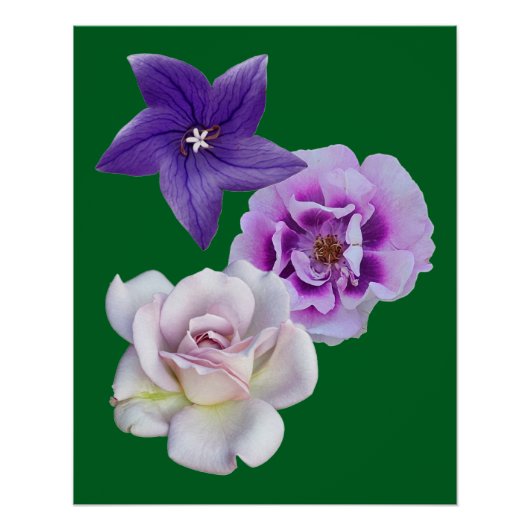 Eine Blume Poster (Vorderseite)