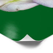 Eine Blume Poster (Ecke)