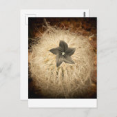 Eine Blume Postkarte (Vorne/Hinten)