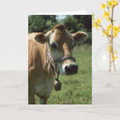 Eine braune Jersey-Kuh im Sommer als Wiese-Grußkar Karte (Gelbe Blume)