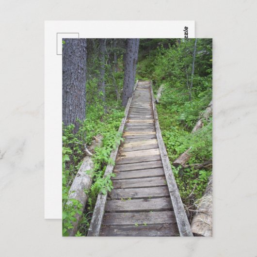 Eine Brücke im Wald Postkarte (Vorne/Hinten)