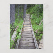 Eine Brücke im Wald Postkarte (Vorderseite)