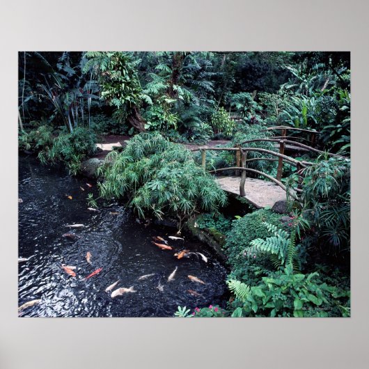 Eine Brücke über einen goldenen Teich, umgeben von Poster (Vorne)