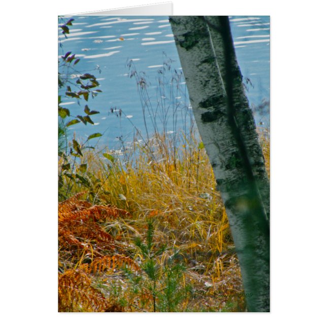 Eine Brush mit Herbst (Vorne)