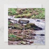 Eine Bucht hochkrempeln Einladung (Rückseite)