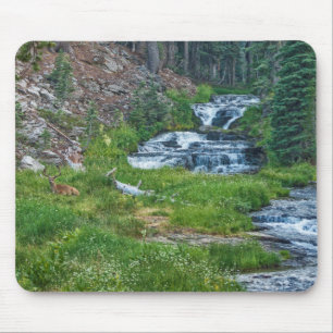 Eine Buck-Erholung an einem Kaskadenfluss Mousepad