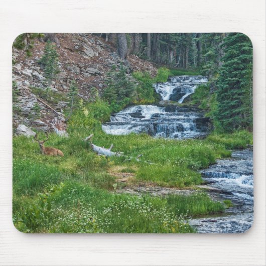 Eine Buck-Erholung an einem Kaskadenfluss Mousepad (Vorne)