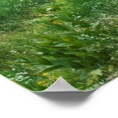 Eine Buck-Erholung an einem Kaskadenfluss Poster (Ecke)