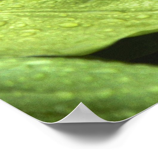 Eine Buddha-Statue im Meditationsgarten Poster (Ecke)