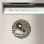 Eine Büffelköpfe von Magnet (In Situ (Geschirrspüler))