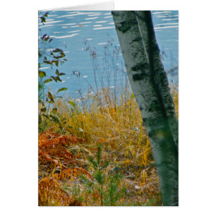 Eine Bürste mit Herbst