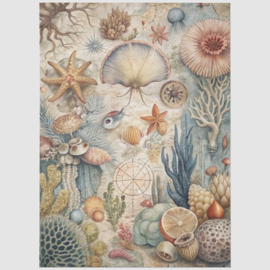 Eine Coastal Series Design 46 Seidenpapier (Vorderseite)