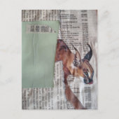 Eine coole große Kitty-Mixed-Media-Collage Postkarte (Vorderseite)