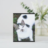Eine Coole Katze (Mädchen) Postkarte (Stehend Vorderseite)