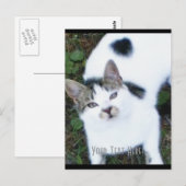 Eine Coole Katze (Mädchen) Postkarte (Vorne/Hinten)