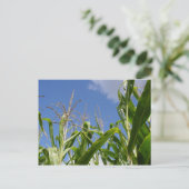 Eine Corny Postcard! Postkarte (Stehend Vorderseite)