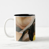 Eine Dackel, die gebadet wird Zweifarbige Tasse (Links)