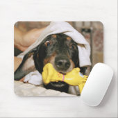 Eine Dackel wird gebadet. Mousepad (Mit Mouse)