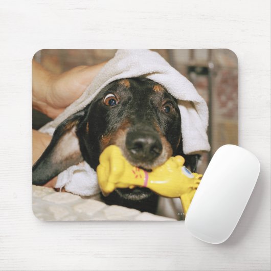 Eine Dackel wird gebadet. Mousepad (Mit Mouse)