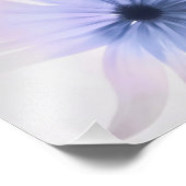 Eine Daisy mit Lila, rosa und grau Fotodruck (Ecke)