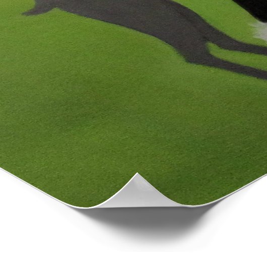 Eine Dame, die ihren Hund/Poster führt Poster (Ecke)